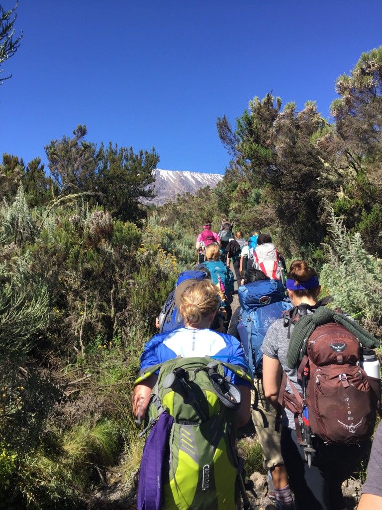 Mountain Climbing